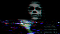 Nov 08 23:13