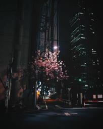 Sep 06 09:01